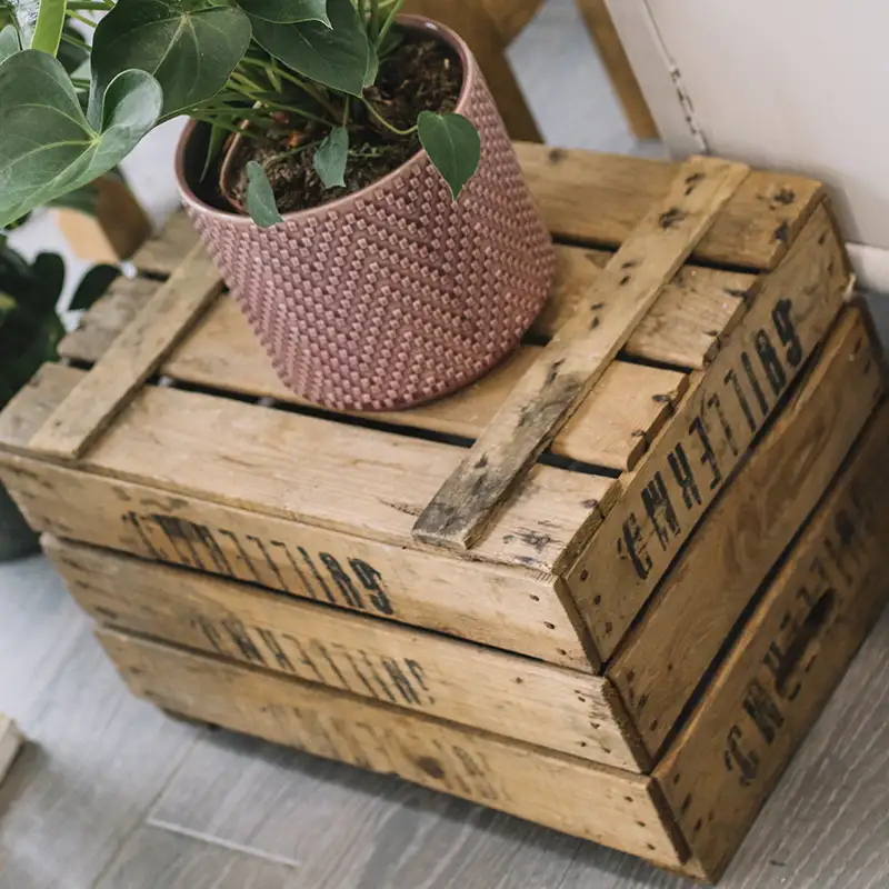 Malle de rangement
